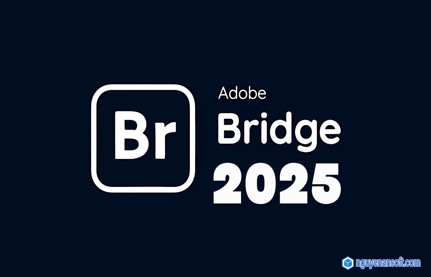 Download Adobe Bridge 2025 Full – Hướng dẫn cài đặt chi tiết